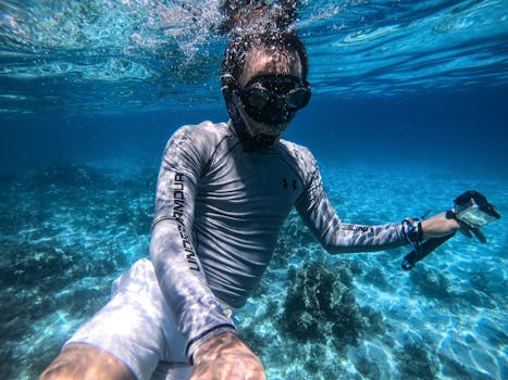 Best Dolphin Watching Spots in the Red Sea: Ultimate Guide