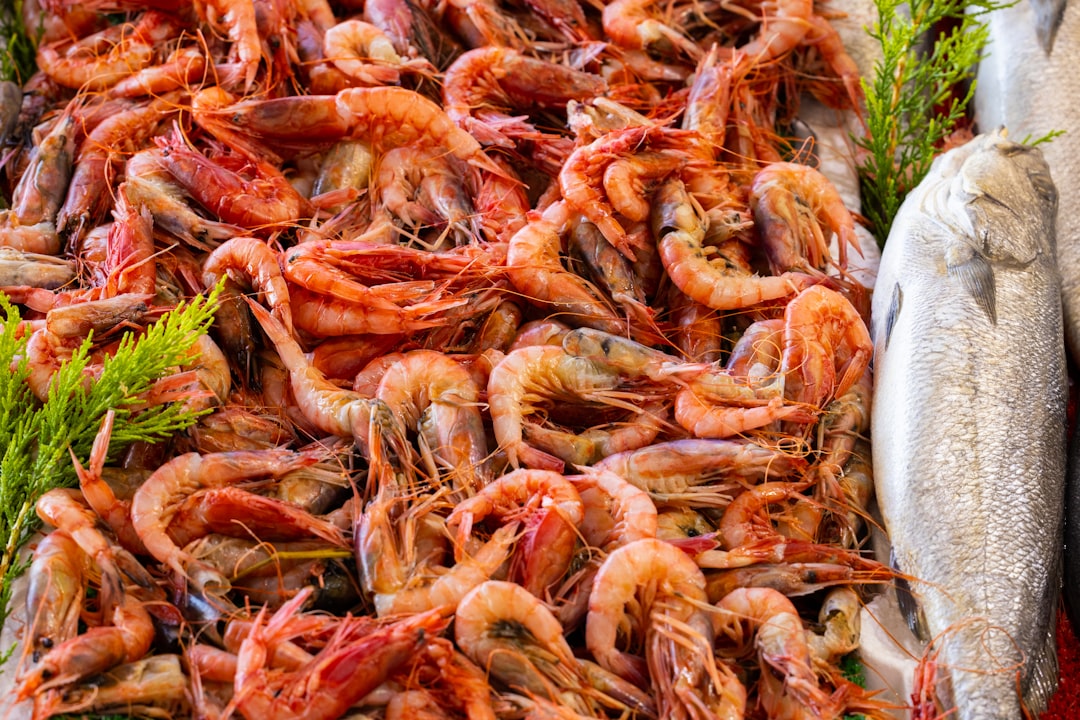 Best Local Foods to Try in the Red Sea Region: A Guide