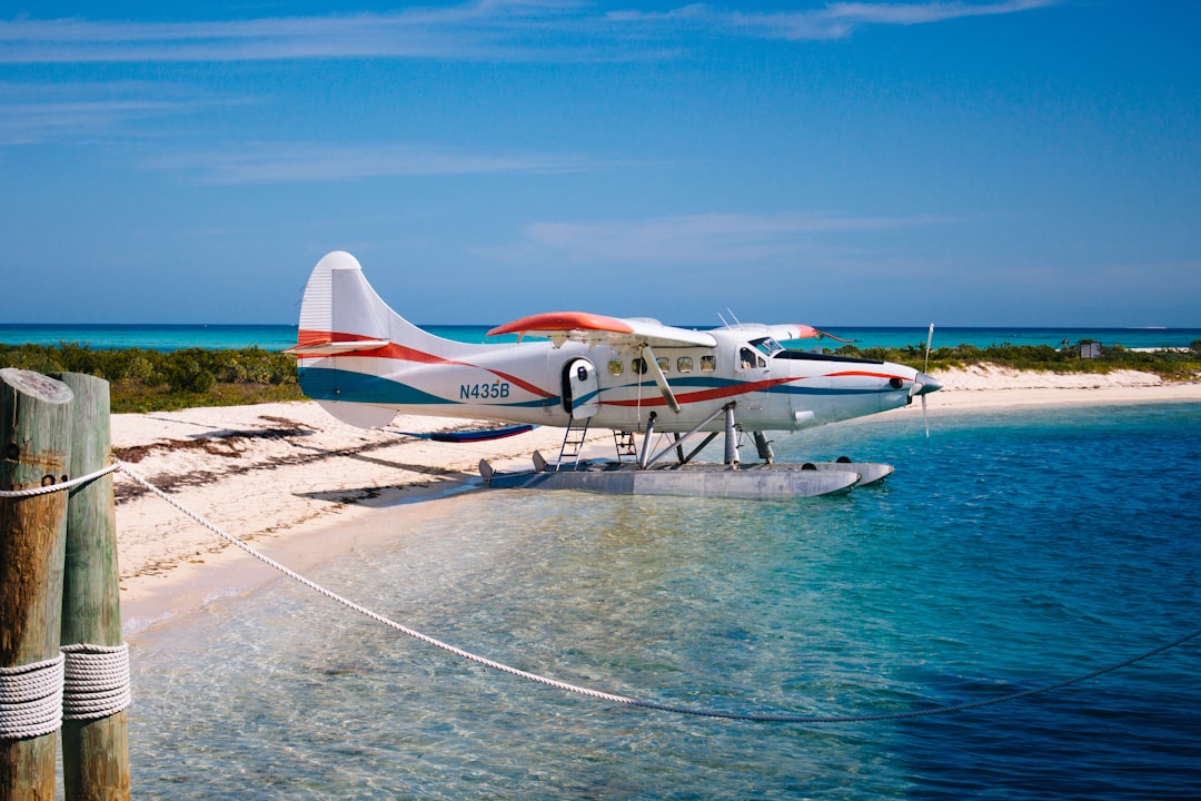 Best Red Sea Adventure Tours: Thrilling Packages Await