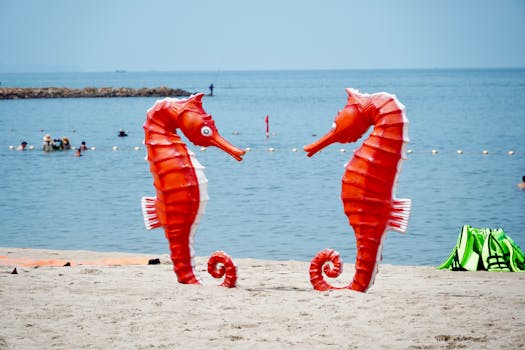 Best Red Sea Resorts & Hotels for Every Budget
