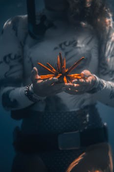 Best Red Sea Snorkeling & Diving Spots for All Levels