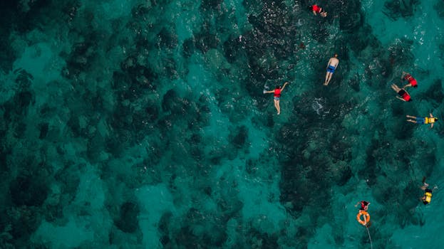 Best Snorkeling in the Red Sea for First-Timers: Explore Now!