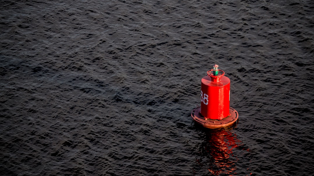 Celebrate Special Occasions: Red Sea Boat Tour Ideas