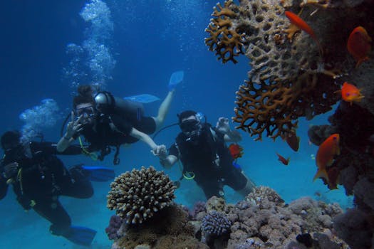 Choosing the Best Diving Gear for Your Red Sea Adventure