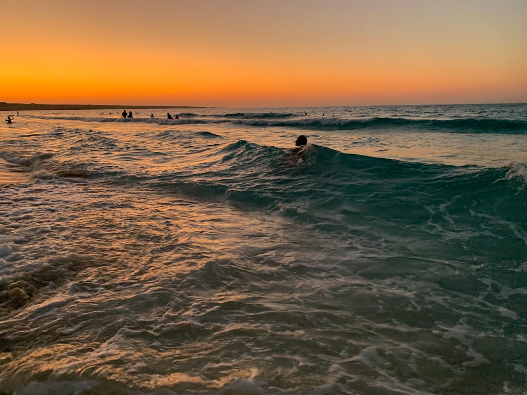 Discover Egypt's Red Sea: Must-Try Local Dishes