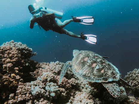 Discover Hidden Gems of the Red Sea: Ultimate Guide