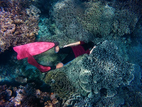 Discover the Red Sea's Coral Reefs: A Dive into Magic
