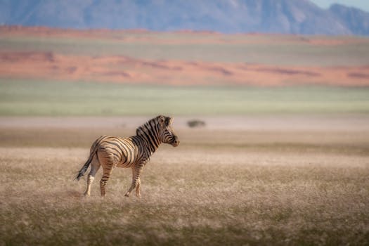 Eco-Friendly Travel Tips for Sustainable Adventures