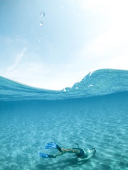 Exciting Dolphin-Watching Tours in the Red Sea: A Guide