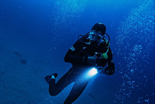 Explore Red Sea Shipwrecks & Coral Reefs: A Diving Adventure
