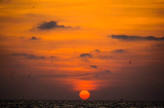 Help Marine Conservation in the Red Sea: Tourist Guide