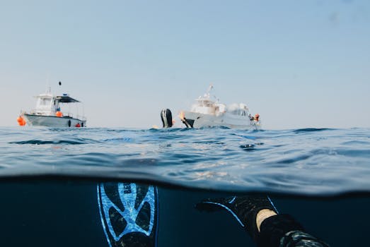 Luxury Catamaran Charters: Elite Red Sea Tours