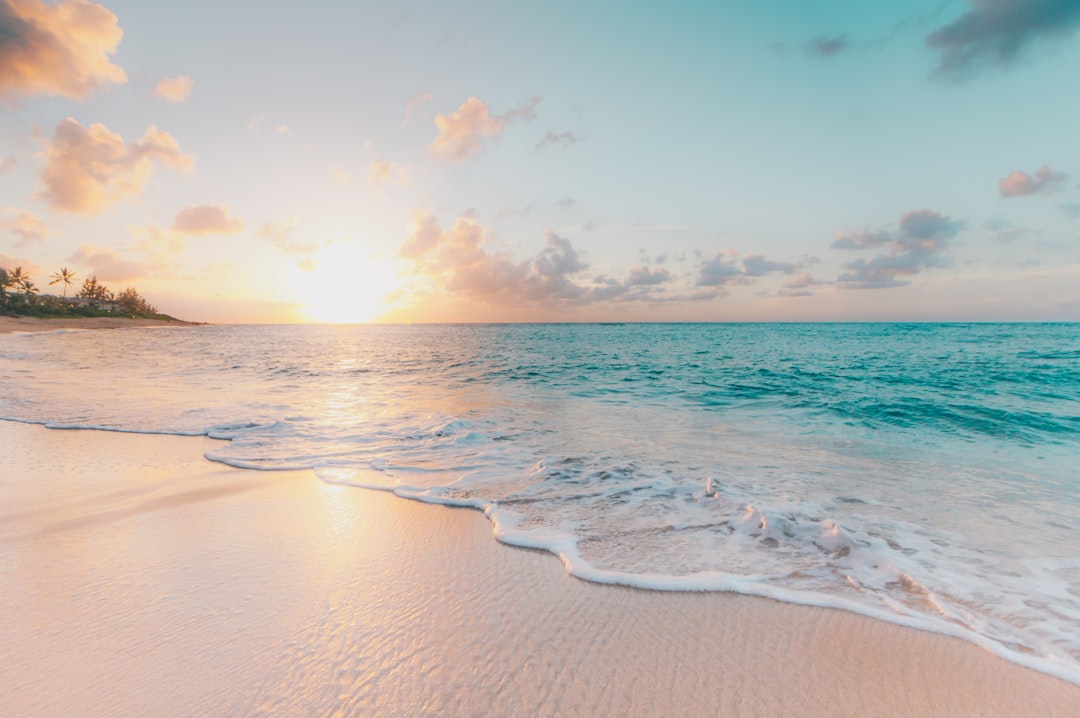 Maximize Rewards: The Benefits of Travel Credit Cards