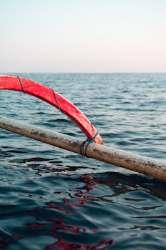 Maximize Your Red Sea Boat Tour: Tips & Highlights