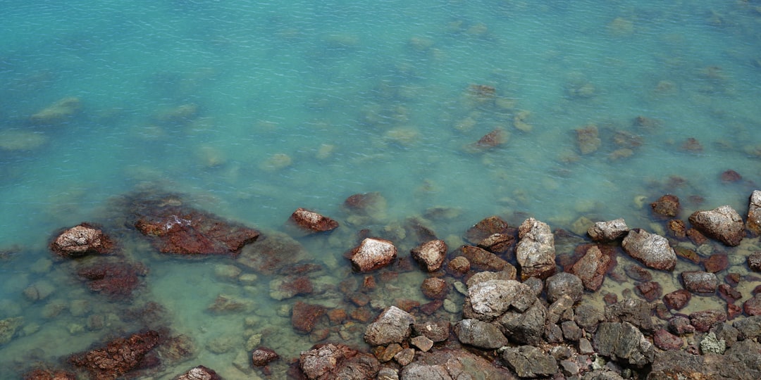 Red Sea: An Underwater Photographer’s Paradise Explained