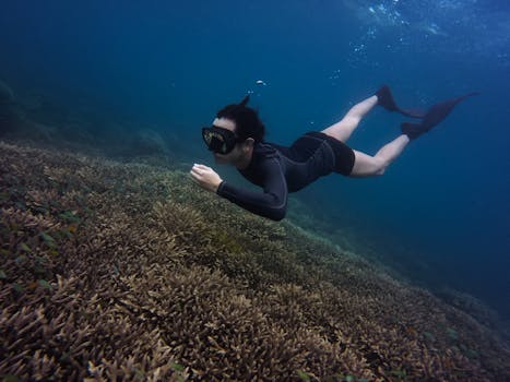 Spot Turtles While Snorkeling in the Red Sea: A Guide