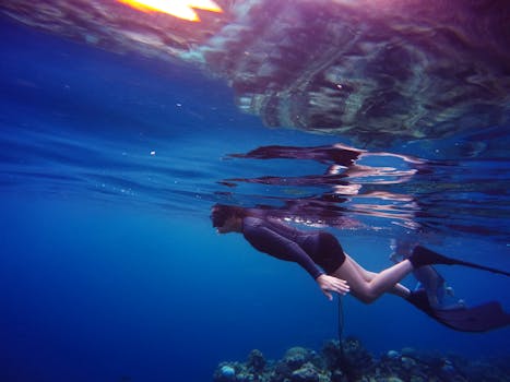 Swimming with Dolphins in the Red Sea: Unforgettable Experience