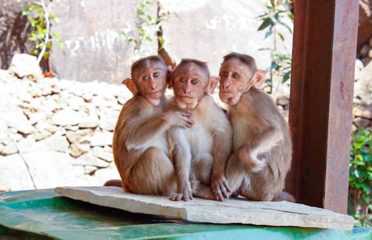 The Importance of Social Responsibility in Travel Today