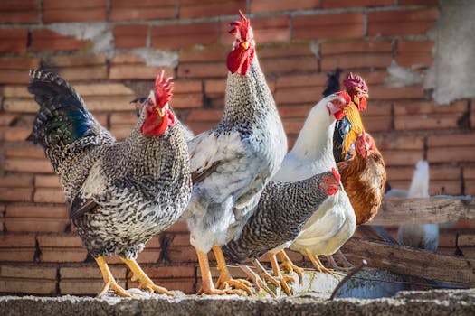 The Rise of Agritourism: Exploring Farm Experiences