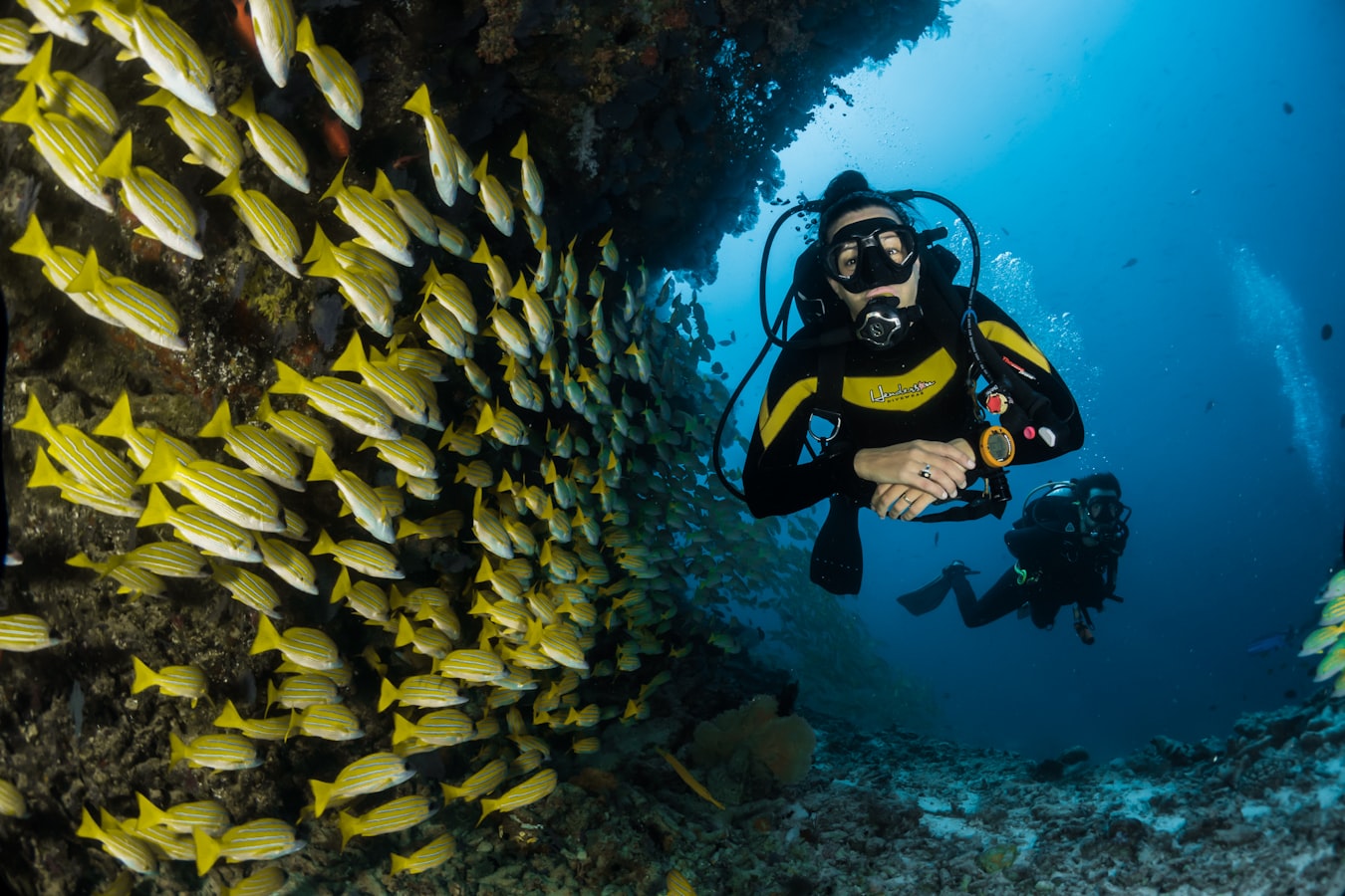 Top 10 Diving Spots in the Red Sea