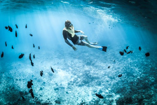 Top Reasons to Get Scuba Diving Certified in the Red Sea