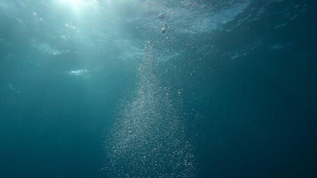 Ultimate Red Sea Snorkeling Guide for Beginners: Tips & Spots