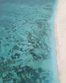 VIP Coral Reef Tours: Glass-Bottom Boats & Audio Guides