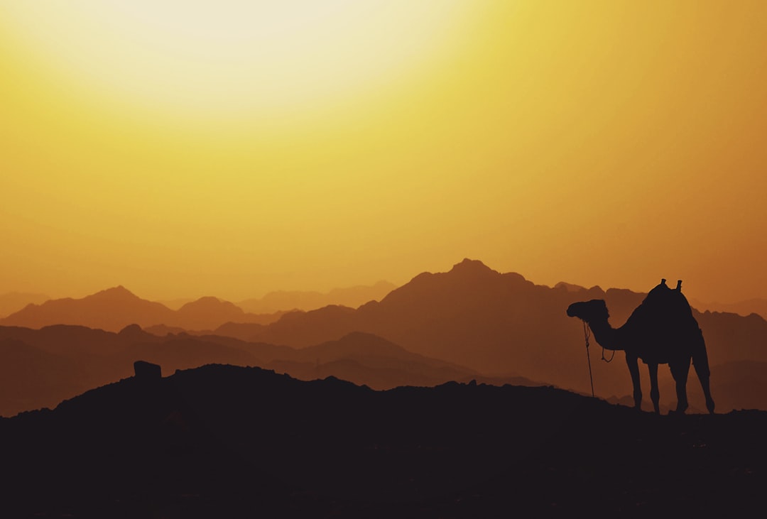 Visit Mahmya Island: Your Next Must-See Destination in Egypt