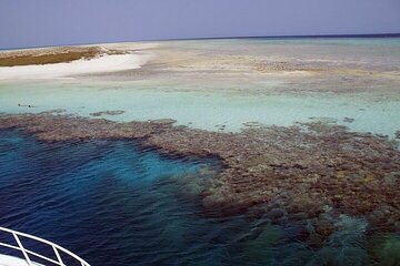 seaside-adventures-from-marsa-alam-to-hamata-with-lunch tour image 2