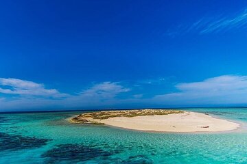 seaside-adventures-from-marsa-alam-to-hamata-with-lunch tour image 4