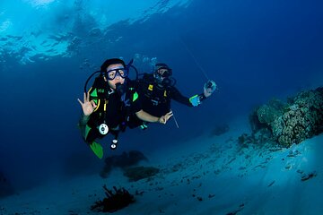 discover-scuba-diving tour image 5