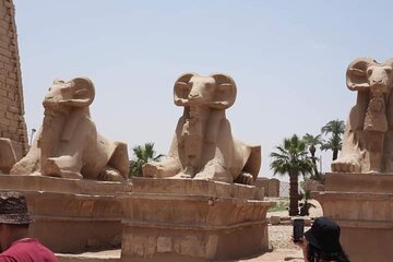 tour-in-luxor-from-hurgharda-by-bus tour image 2