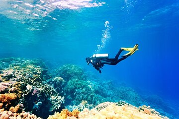 ras-mohammed-diving-white-island-luxurious-cruise-with-lunch tour image 1