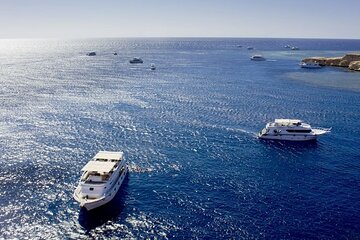 ras-mohammed-diving-white-island-luxurious-cruise-with-lunch tour image 2
