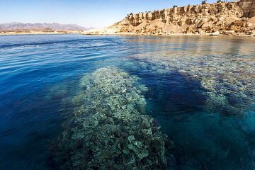 ras-mohammed-diving-white-island-luxurious-cruise-with-lunch tour image 3