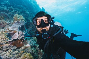 scuba-diving-experience-for-beginners-lunch-sharm-el-sheikh tour image 1