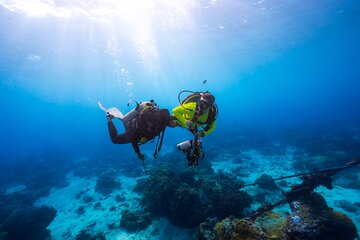scuba-diving-experience-for-beginners-lunch-sharm-el-sheikh tour image 3