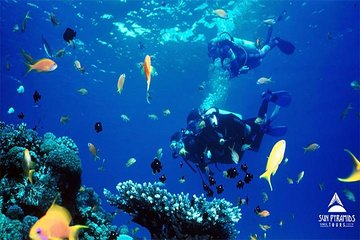 snorkeling-at-mahmya-island-from-hurghada-in-egypt tour image 2