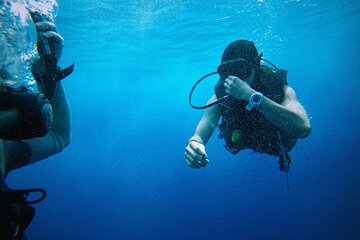 snorkeling-at-mahmya-island-from-hurghada-in-egypt tour image 3