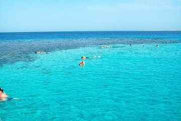 marsa-mubarak-turtle-house-snorkeling-trip-lunch-marsa-alam tour image 2