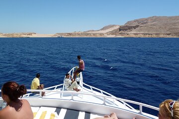 tiran-island-full-day-snorkeling-intro-dive-sharm-el-sheikh tour image 3