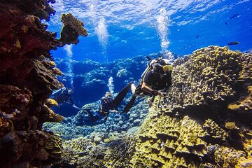 explore-hurghada-two-thrilling-boat-dives-for-certified-divers tour image 2