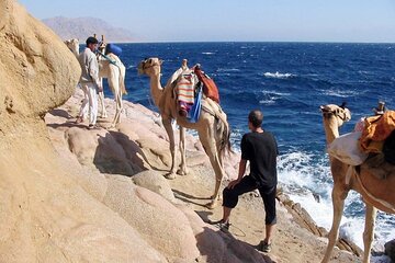 blue-hole-in-dahab-full-day-with-lunch-camel-sharm-el-sheikh tour image 3