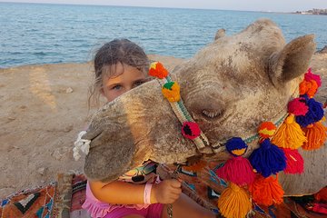 one-hour-camel-ride-at-amazing-desert-with-transfer-hurghada tour image 2