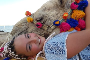 one-hour-camel-ride-at-amazing-desert-with-transfer-hurghada tour image 3