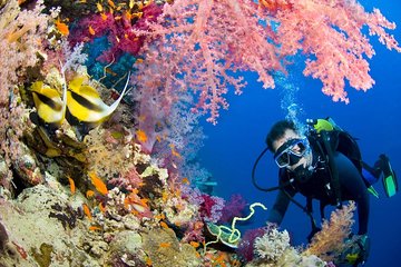 intro-diving-and-snorkeling-day-trip tour image 1