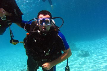 intro-diving-and-snorkeling-day-trip tour image 3