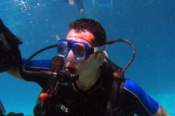 intro-diving-and-snorkeling-day-trip tour image 4