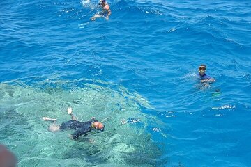 marsa-mubarak-snorkeling-trip-with-one-introductory-dive tour image 1