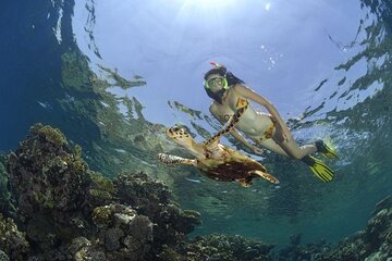 orange-bay-all-day-trip-with-snorkeling tour image 1